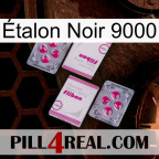 Étalon Noir 9000 33